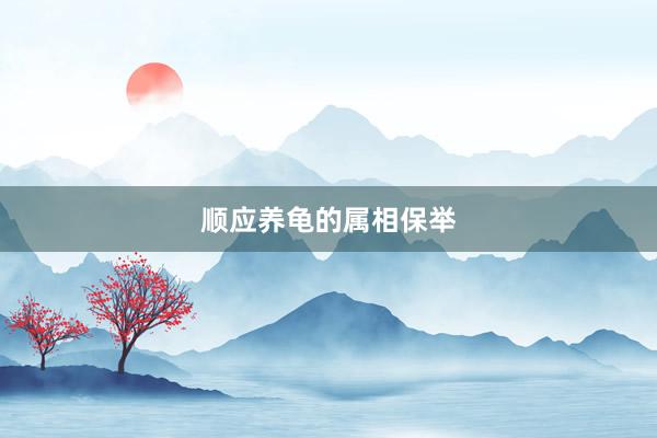 顺应养龟的属相保举