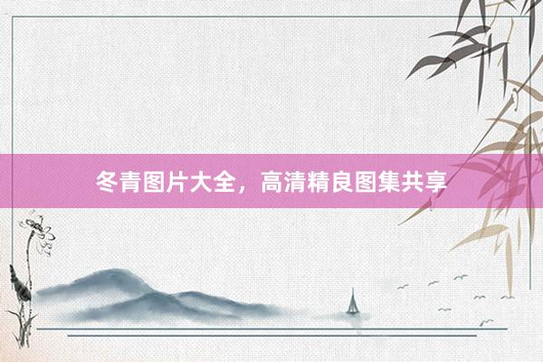 冬青图片大全，高清精良图集共享